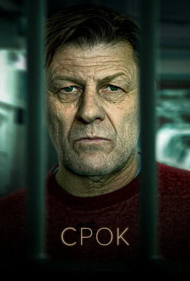 Срок (1-2,3 сезон 1-2,3 серия) смотреть онлайн