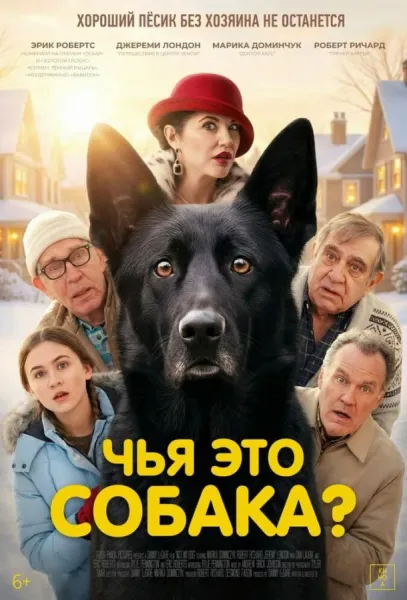 Чья это собака? (2025) смотреть онлайн